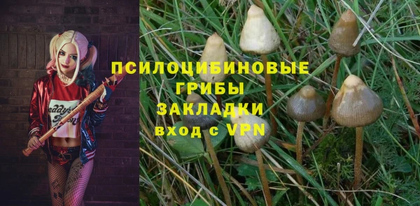 PSILOCYBIN Алексин