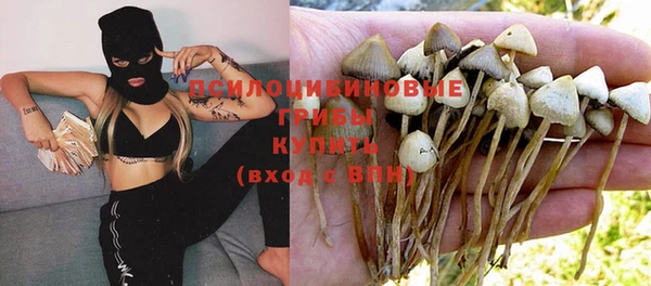 PSILOCYBIN Алексин